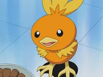 Imagen de Torchic
