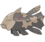 Relicanth.png