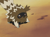 Zigzagoon