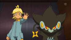 EP868 Lem y Luxray.png