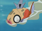 Magikarp