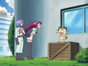 EP434 Meowth, James y Jessie.png