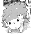 Shaymin en MP11
