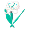 Florges blanca
