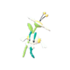 Imagen de Floette blanca en Leyendas Pokémon: Z-A