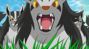 EP609 Manada de Mightyena.png