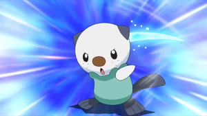 Oshawott usando concha filo.
