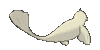 Imagen posterior de Dewgong variocolor en Pokémon X, Pokémon Y, Pokémon Rubí Omega, Pokémon Zafiro Alfa, Pokémon Sol, Pokémon Luna, Pokémon Ultrasol y Pokémon Ultraluna