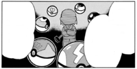 Pokébolas/Poké Balls hechas a partir de bonguris