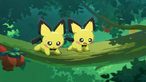 Pichu