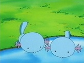 Wooper