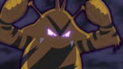 P20 Electabuzz.png