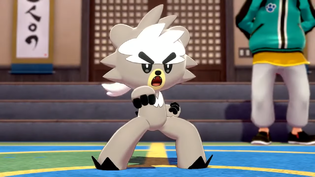 Imagen de varios Pokémon