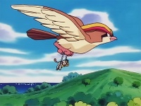 Pidgeot