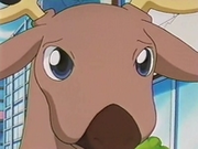 EP127 Stantler (3).png