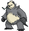 Imagen de Pangoro en Pokémon X, Pokémon Y, Pokémon Rubí Omega, Pokémon Zafiro Alfa, Pokémon Sol, Pokémon Luna, Pokémon Ultrasol y Pokémon Ultraluna