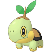 Turtwig