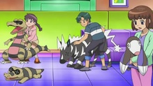 Sandile