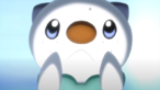 Oshawott