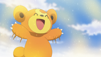 Teddiursa de Araceli usando dulce aroma.