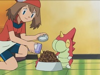 ...pero cuando May/Aura le da más comida a Wurmple la pared es amarilla.