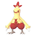 Imagen de Combusken variocolor hembra en Leyendas Pokémon: Z-A