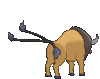Imagen posterior de Tauros en Pokémon X, Pokémon Y, Pokémon Rubí Omega, Pokémon Zafiro Alfa, Pokémon Sol, Pokémon Luna, Pokémon Ultrasol y Pokémon Ultraluna