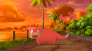 EP948 Slowpoke.png