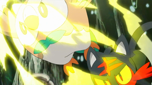 Rowlet de Ash usando Picotazo.