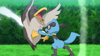 Riolu de Ash usando fuerza de palma/palmeo.