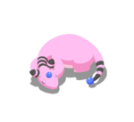 Rascacola variocolor