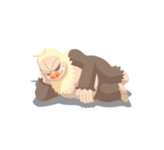 Holgazán variocolor