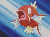 Magikarp