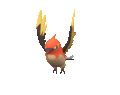 Imagen de Fletchinder en Pokémon Escarlata y Pokémon Púrpura