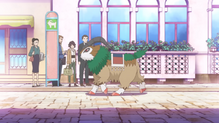 Gogoat
