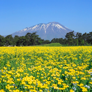 Fondo de Iwate