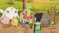 Pokémon de la isla que ayudan a reunir los ingredientes.