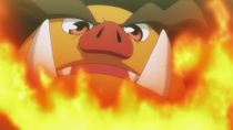 Imagen de Emboar