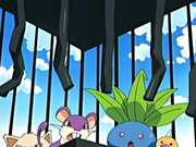 EP420 Pokémon robados (2).png