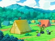 EP498 Campamento de entrenadores Pokémon 2.png