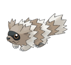 Zigzagoon