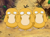 Psyduck