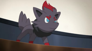 Imagen de Zorua