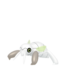 Nincada macho