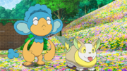 EP1196 Panpour y Yamper.png