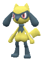 Imagen de Riolu en Pokémon Escarlata y Pokémon Púrpura