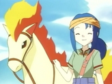 Ponyta