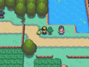 Localización del bonguri negro en la ruta 31 en Pokémon Oro HeartGold y Plata SoulSilver.