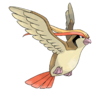 Imagen de Pidgeot