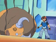 Tauros debilitado.
